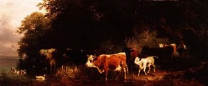 Erdős folyó táj drover és szarvasmarha itatás