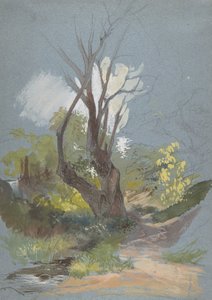 Hegyi ösvény fával, 1820-78. alkotó: Friedrich Nerly