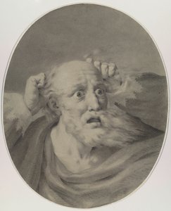 Idős férfi szakállas, haját turmixolja. alkotó: Friedrich Rehberg