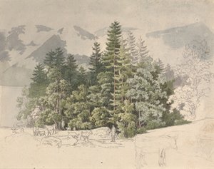 Alpesi táj (gouache grafitra)