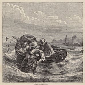 Homárhalászat (színes gravírozás) alkotó: Friedrich Specht