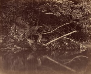 Folyópart a Neath-völgyben, kb. 1855. alkotó: G. B. Gething