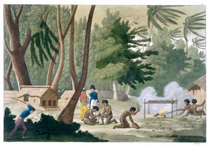 „Papu törzs Rawak szigetén”, 1820-1839 alkotó: G Bramati