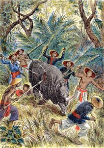 Rhinoceros hunting, French Indochina, c.1900 (illustration)