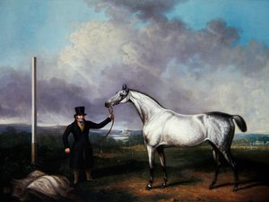 Szürke versenylovat tartó úriember a pályán (olaj, vászon) alkotó: G. Jackson