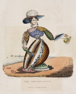 The Conchologist, 1831 körül