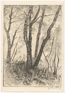 Fák magas fűben alkotó: G. van der Mey (signed by artist)