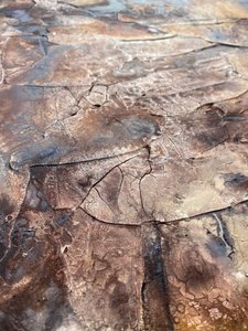  alkotó: Gabriela Aleksandra Szuba