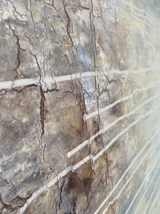  alkotó: Gabriela Aleksandra Szuba