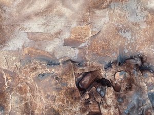  alkotó: Gabriela Aleksandra Szuba