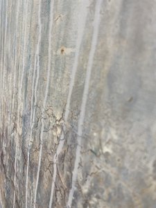  alkotó: Gabriela Aleksandra Szuba