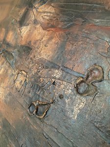  alkotó: Gabriela Aleksandra Szuba