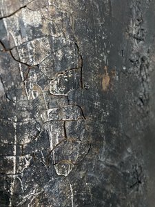  alkotó: Gabriela Aleksandra Szuba