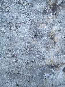  alkotó: Gabriela Aleksandra Szuba