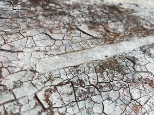  alkotó: Gabriela Aleksandra Szuba