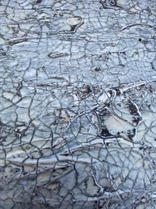  alkotó: Gabriela Aleksandra Szuba