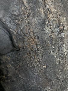  alkotó: Gabriela Aleksandra Szuba