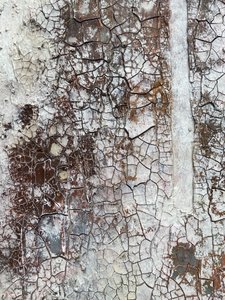  alkotó: Gabriela Aleksandra Szuba