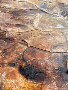  alkotó: Gabriela Aleksandra Szuba