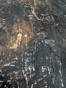  alkotó: Gabriela Aleksandra Szuba