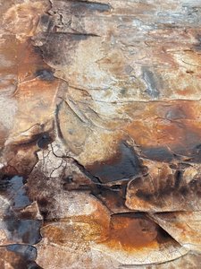  alkotó: Gabriela Aleksandra Szuba