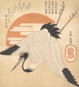 Fehér daru repül át a Napkorongon, 1835.