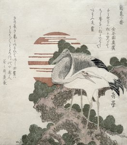 Daru (Tsuru) a Daruk és teknősök 2. sorozatának terveiből, 1818-30 (fametszet)