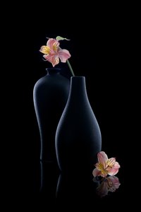 Elegáns alstroemeria vázában
