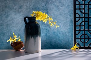 Elegáns forsytia-csendélet
