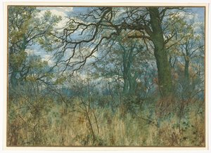 Fák és aljnövényzet alkotó: Garden William Fraser