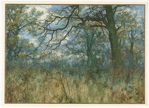 Fák és aljnövényzet, 1885. alkotó: Garden William Fraser