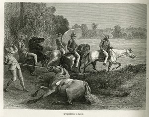 A körútban megjelent Jules Crevaux, a francia haditengerészet doktora 1878-1879-es De Cayenne aux Andes című történetének illusztrálására G. Vuillier rajza alapján készült lovas expedíció Terable völgyének felfedezésére. du monde, unde alkotó: Gaston Vuillier