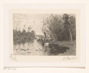 Kacsák a tó mentén és a partján Kacsapisi (eredeti cím) alkotó: Geo Poggenbeek (signed by artist)