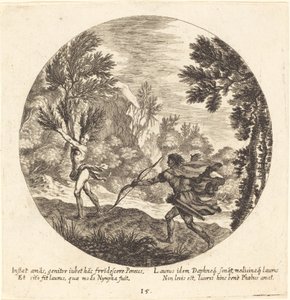 Daphne babérhoz fordul