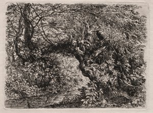 Az öreg fűz egy pataknál, 1794. alkotó: Georg von Dillis