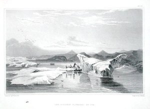 A jég által szorongatott delfin, Sir John Franklin (1786-1847) "Narrative of a Journey to the Shores of the Polar Sea in the Years 1819-22" című művéből, melyet Edward Finden (1791-1857) metszett, megjelent 1823-28-ban (színes metszet).