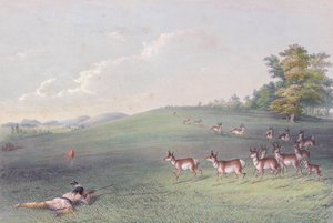 George Catlin észak-amerikai indián portfóliója alkotó: George (after) Catlin