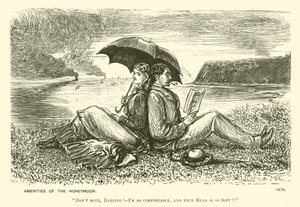A nászút kényelme (gravírozás) alkotó: George (after) Du Maurier