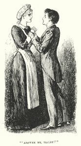 Illusztráció a Trilbyhez, George du Maurier (metszet) alkotó: George (after) Du Maurier