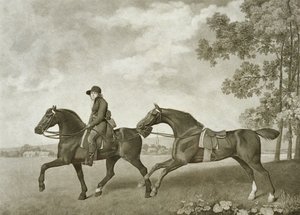 Two Hacks, metszett George Townley Stubbs (bap.1748-c.1815) (litho)