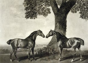Két vadász, metszett G.T. Stubbs (bap.1748-c.1815) (litho) (lásd még: 266802)