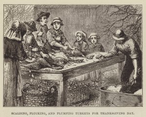 Pulykák leforrázása, kopasztása és tömése a hálaadás napjára alkotó: George Augustus Sala