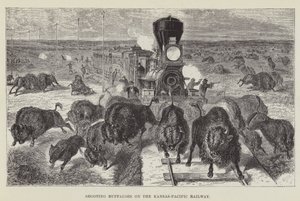 Bivalyok lövöldözése a Kansas-Pacific Railway-n alkotó: George Augustus Sala
