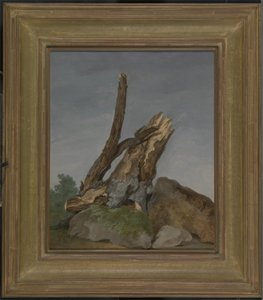 Study of Rocks and Branches, 1795 körül (olaj, papír)