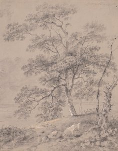Fa tanulmány alkotó: George Barret