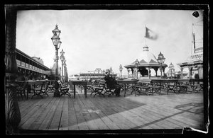 Cables and Iron Cow, Coney Island, Brooklyn, 1872-87 körül (nedves kollódion negatív)
