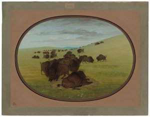  alkotó: George Catlin