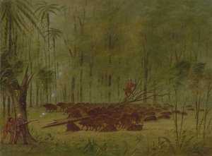 Harc pekásokkal – Karib-szigetek, 18541869. alkotó: George Catlin