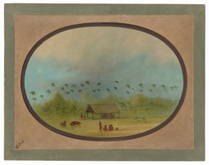  alkotó: George Catlin