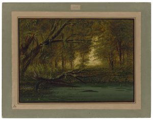  alkotó: George Catlin